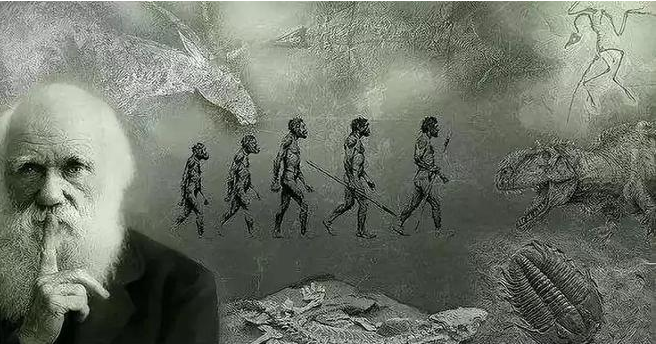 9.png