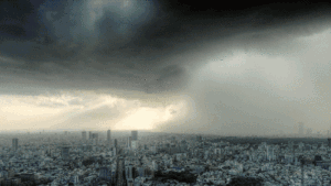 2.gif