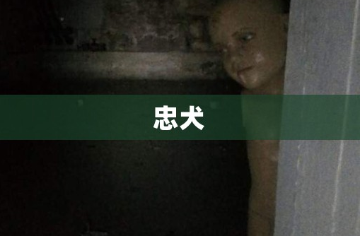 16.png