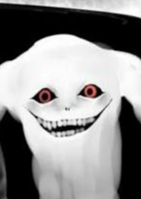 13.png
