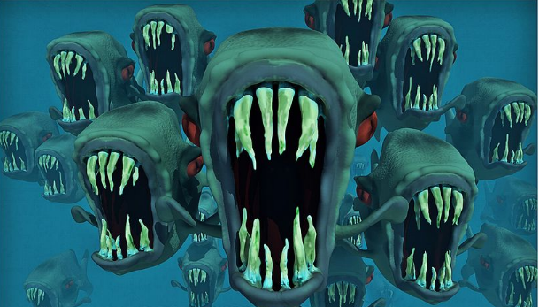 6.png